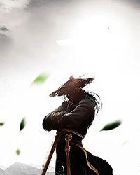 游戏之狩魔猎人书评